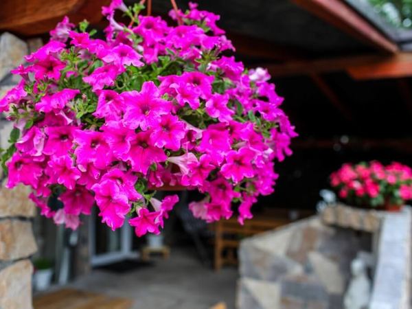 Guesthouse Ana & Stjepan, Medjugorje — photo 6