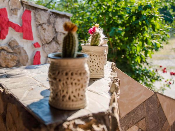 Guesthouse Ana & Stjepan, Medjugorje — photo 8